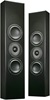 Totem Acoustic Tribe I