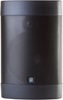 Origin Acoustics Seasons OS54