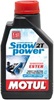 Snowpower 2T 1 л