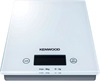 Kenwood DS401