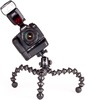 Gorillapod Focus (GP8) + Ballhead X