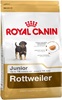 Rottweiler Junior (12 кг)