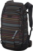 DAKINE Heli Pro DLX 24