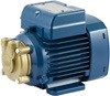 Pedrollo PV 55