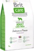 Care Adult Large Breed Salmon & Potato (3 кг)