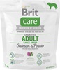 Care Adult Large Breed Salmon & Potato (1 кг)