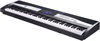 Kurzweil KA110