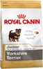 Yorkshire Terrier Junior (0.5 кг)