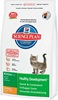 Kitten Healthy Development Chicken (10 кг)