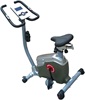 American Motion Fitness 4250G