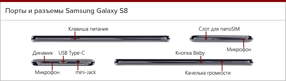 Расположение элементов управления и разъемов Samsung Galaxy S8.