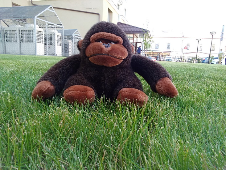 Xiaomi Mi Max 2 - обзор, отзывы о Сяоми Ми Макс 2 | Product-test.ru