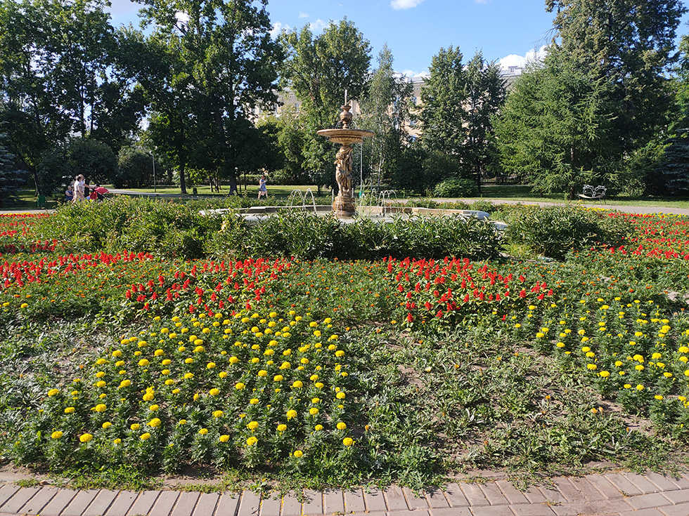 Фото с камеры OPPO Reno.